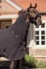 Kantar FAUX FUR COMPLETE Heritage AW 25/26  - Eskadron - black truffle